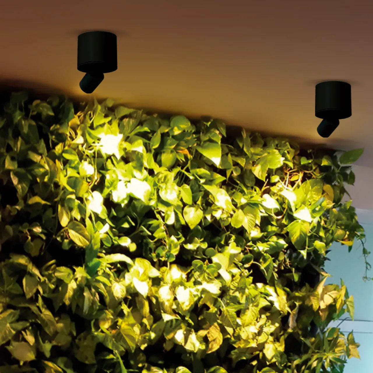 SPOT DIRIGIBLE LED 6W 3CCT BASE NEGRA LIGHTECH